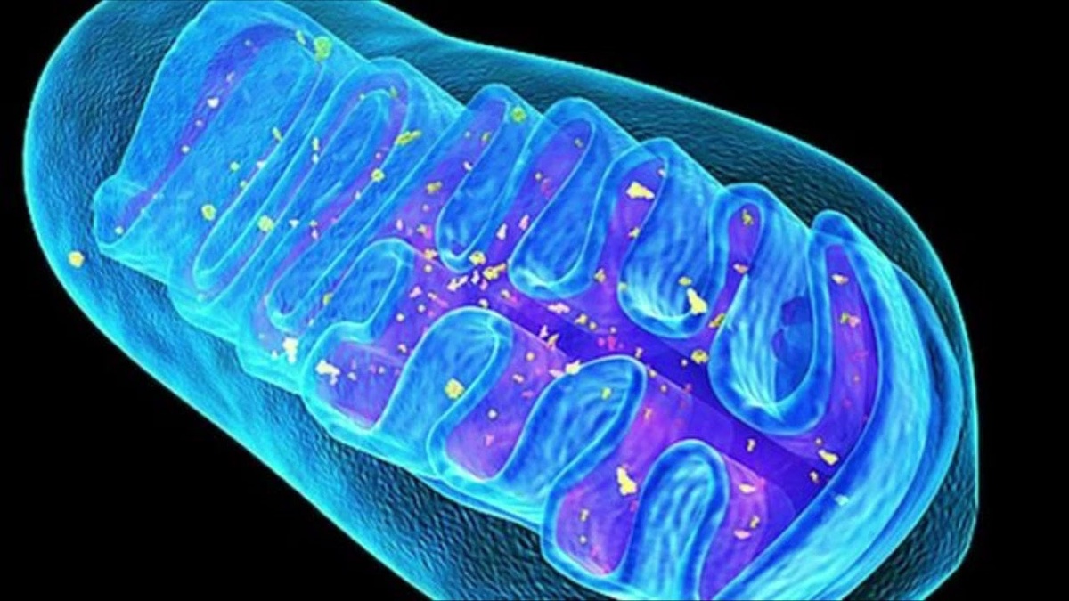 Источник картинки: https://i.ytimg.com