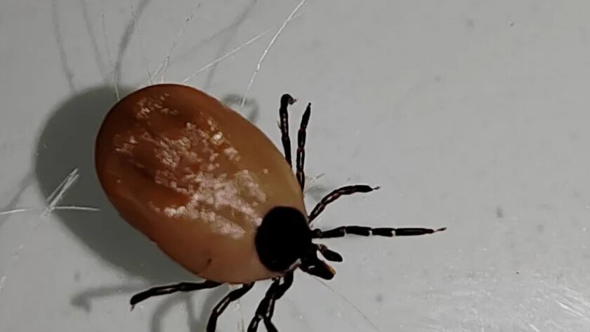    Фото: Материнство