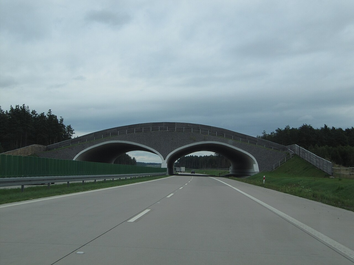     Польская автомагистраль A4   
(cc) Michiel1972