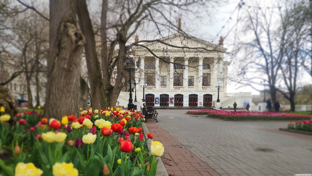     Тюльпаны у театра Луначарского. Севастополь    
© ИА Красная Весна