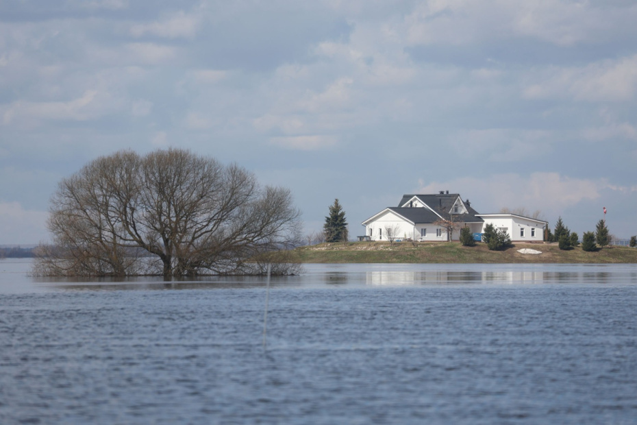    Алексей Белкин/NEWS.ru