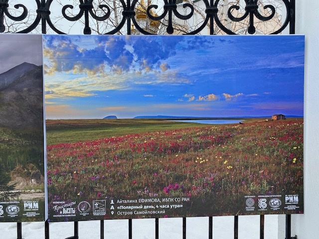 Но она бывает и такой нежной