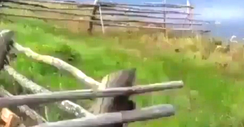 Жизнь длинною в сто лет