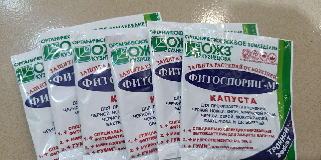 Как развести Фитоспорин М правильно, чтобы принести пользу, а не вред