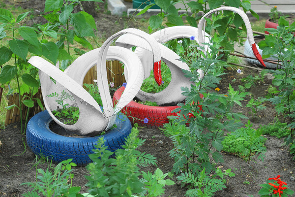 Shutterstock/Africa Studio   📷