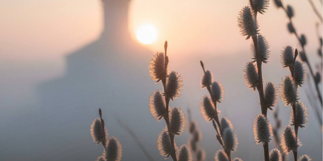 Московский центр рассеянного склероза поздравляет вас с светлым праздником Пасхи