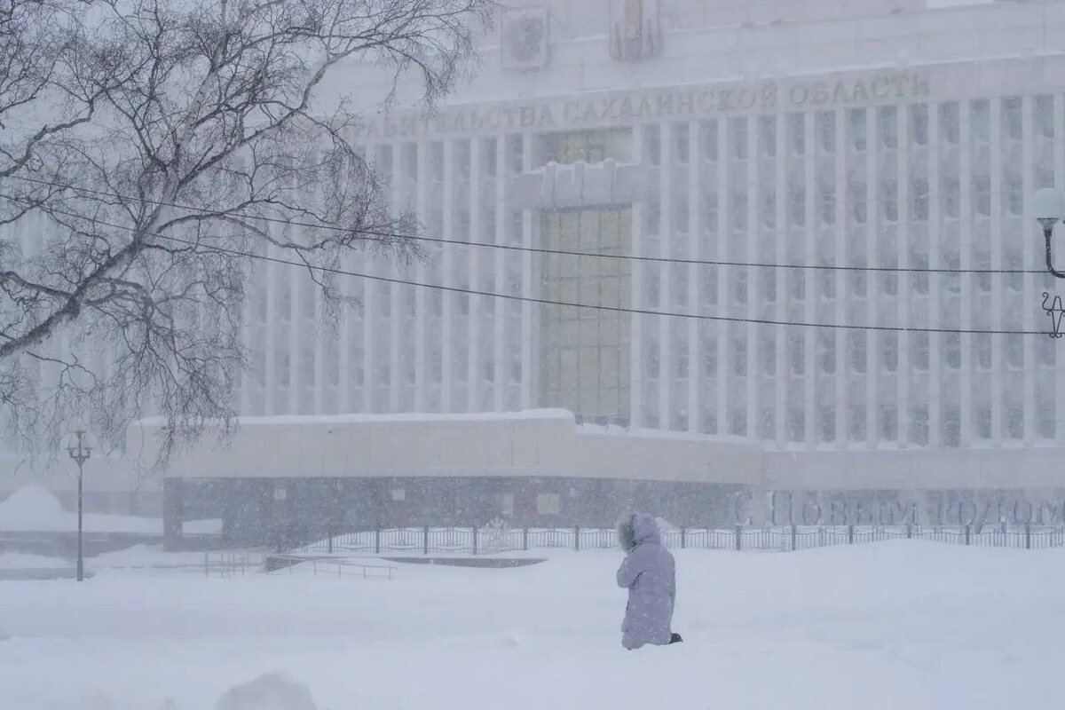    Telegram / Правительство Сахалинской области