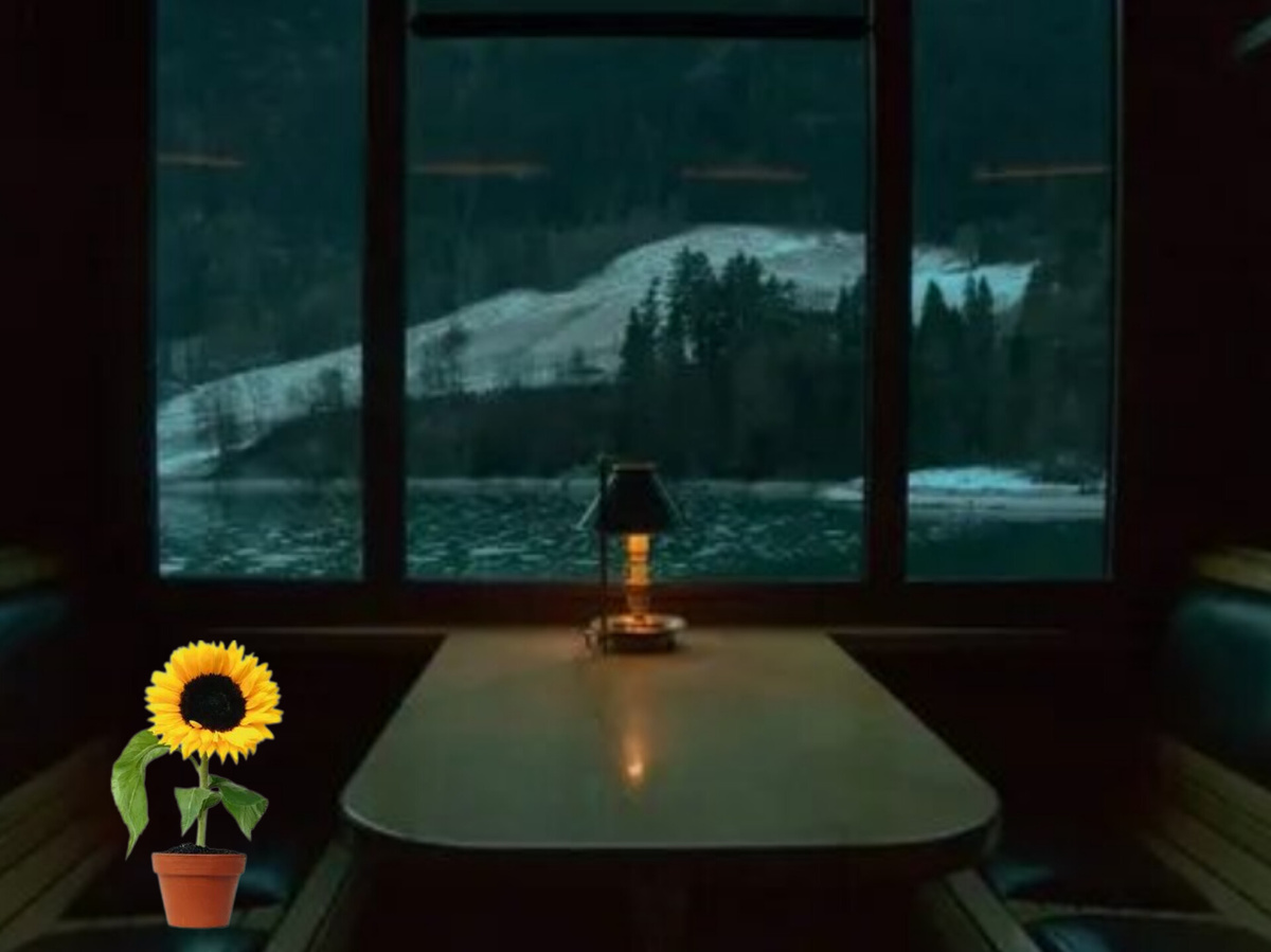 Ночь, будто вор пробрался ко мне в дом