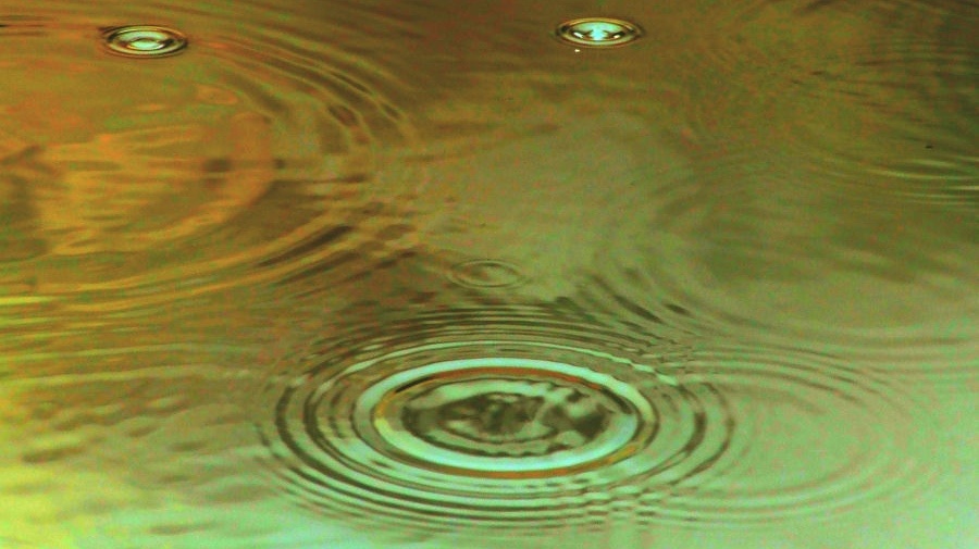     Вмешательство   
(cc) stuart anthony