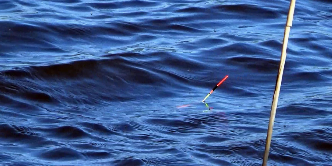 Слишком сильный ветер срывает точку: хватит перезабрасывать, один фокус с удилищем — и поплавок не сдвинется