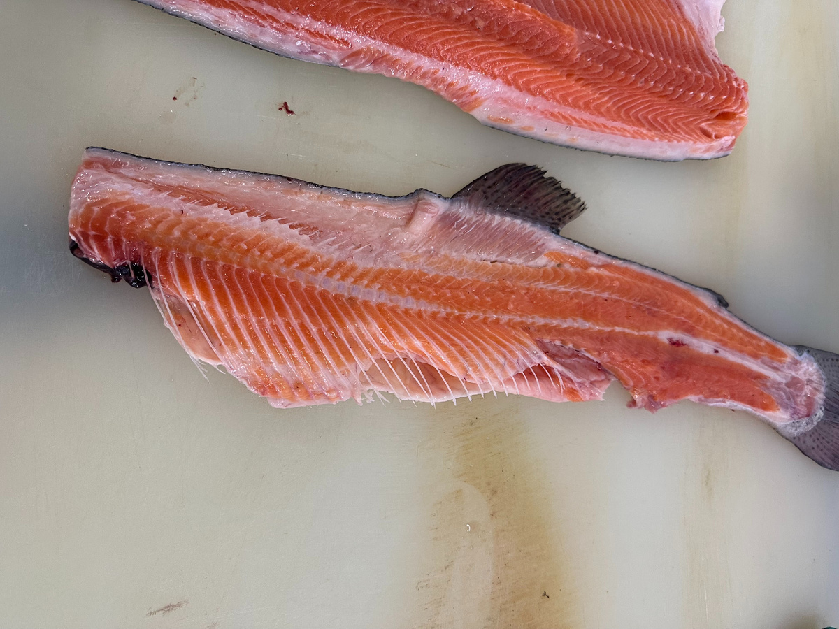 Хребет после филетировочной машиной. Настроено так, что ленточные ночи "облизывают" плотно плотно реберные кости.