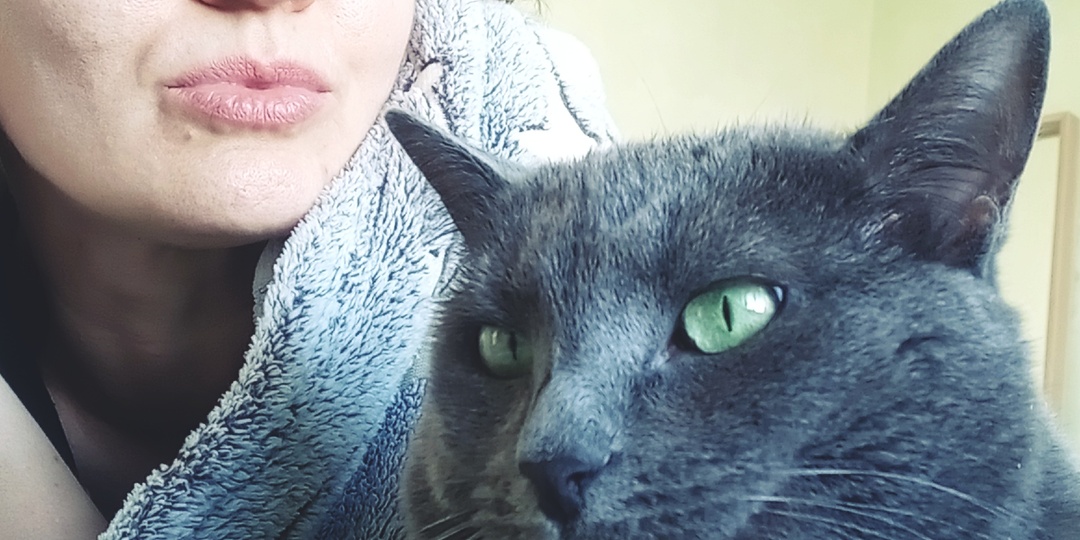 Кого лучше завести дома: кота или кошку