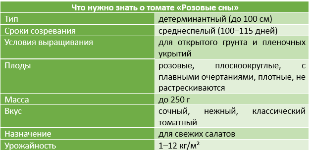 Что нужно знать о томате «Розовые сны»