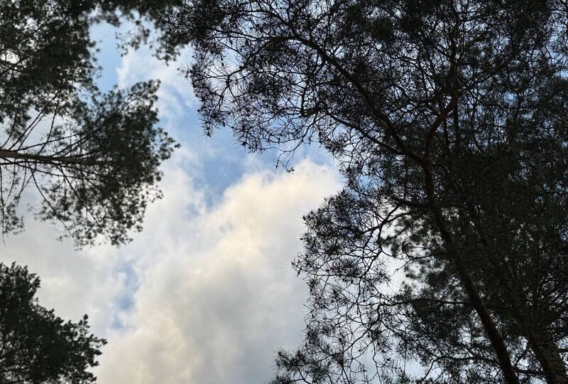 Письмо Юрия Гагарина мальчику-сироте Вовке - это лучшая память о космонавте и Человеке