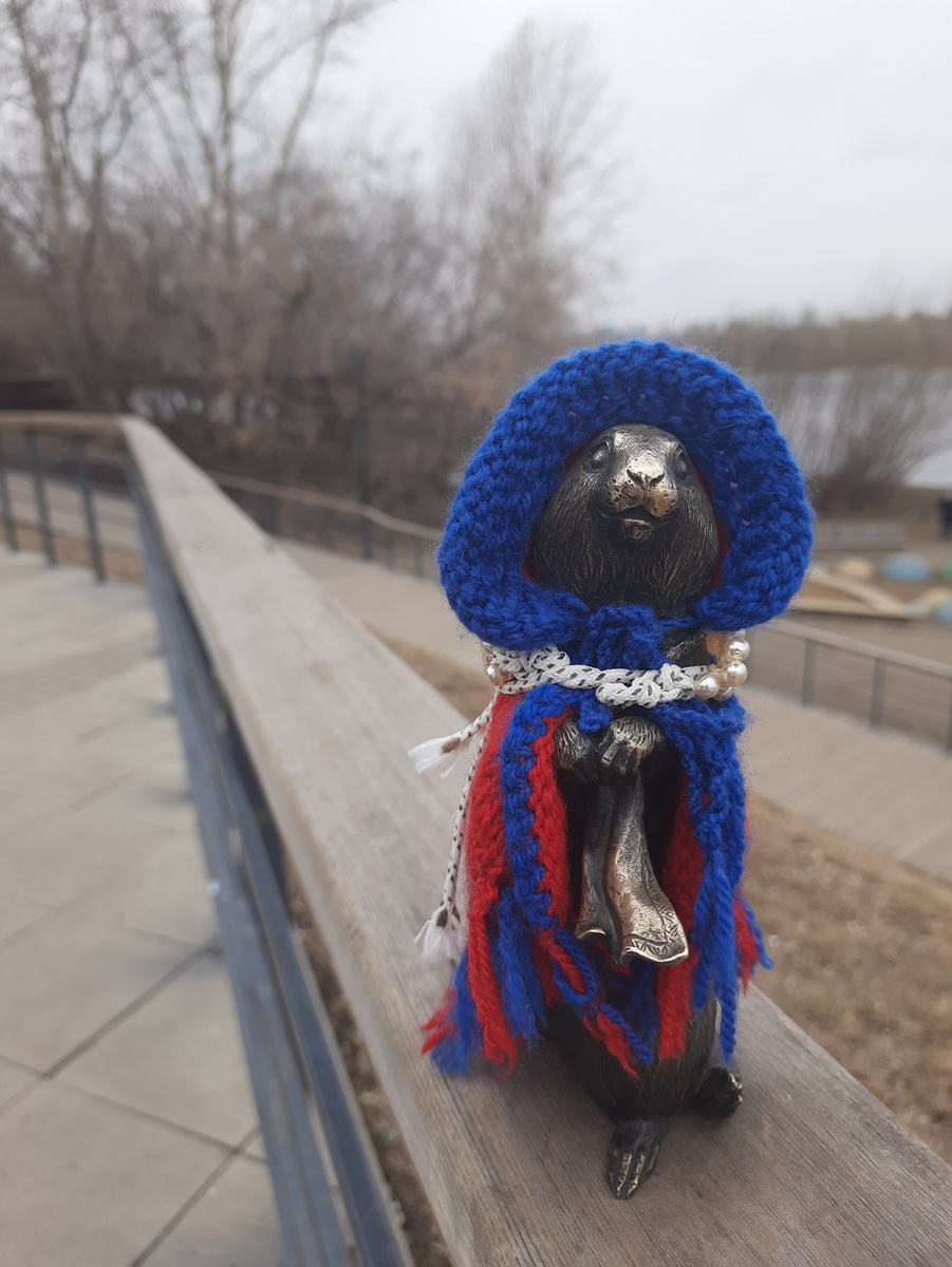 Бронзовый суслик