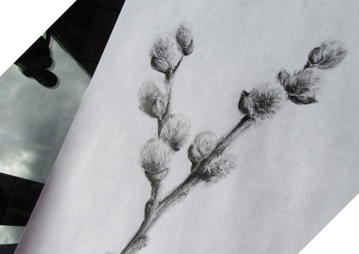 "Веточка вербы" (из личного архива)