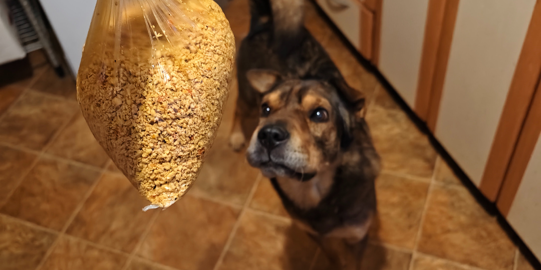 Сушеный фарш в поход для легкоходства и правильного питания