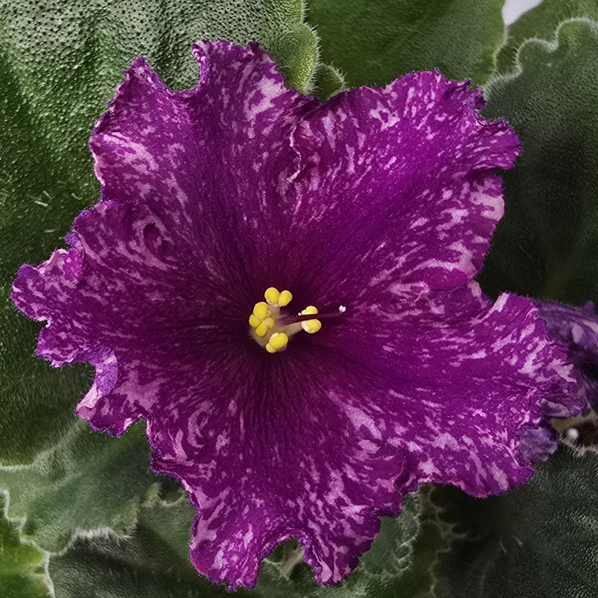 Ав-Тайны Востока