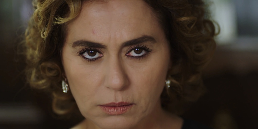 Госпожа Фазилет и сериал про нее. Система персонажей в сериале "Госпожа Фазилет и ее дочери". Часть 1