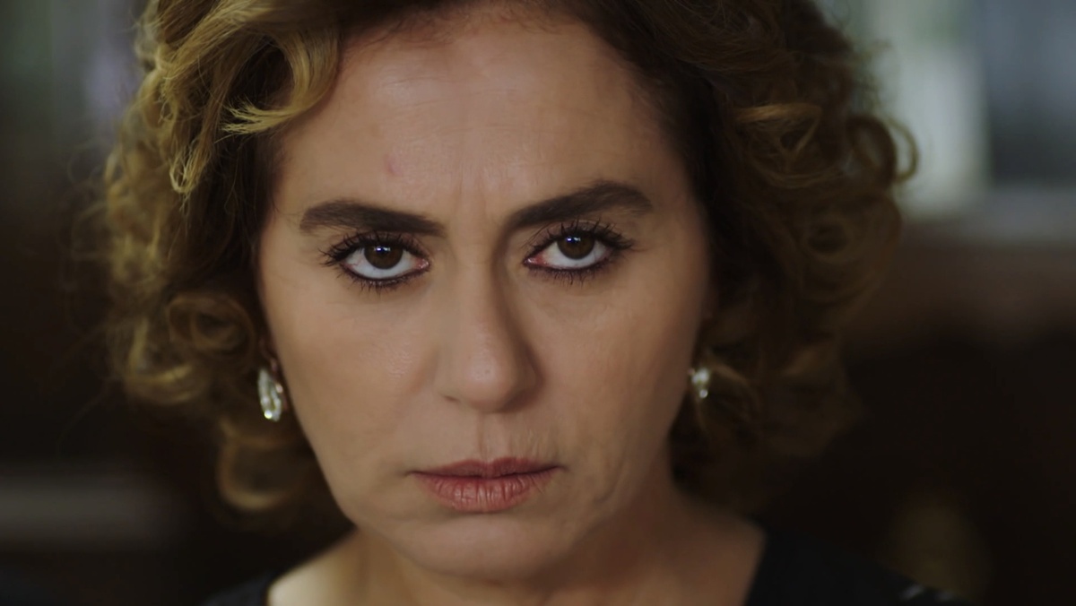 Кадр из сериала "Госпожа Фазилет и её дочери" (Турция, 2017-2018, реж. Гекчен Уста, прод. Шюкрю Авшар и др.)