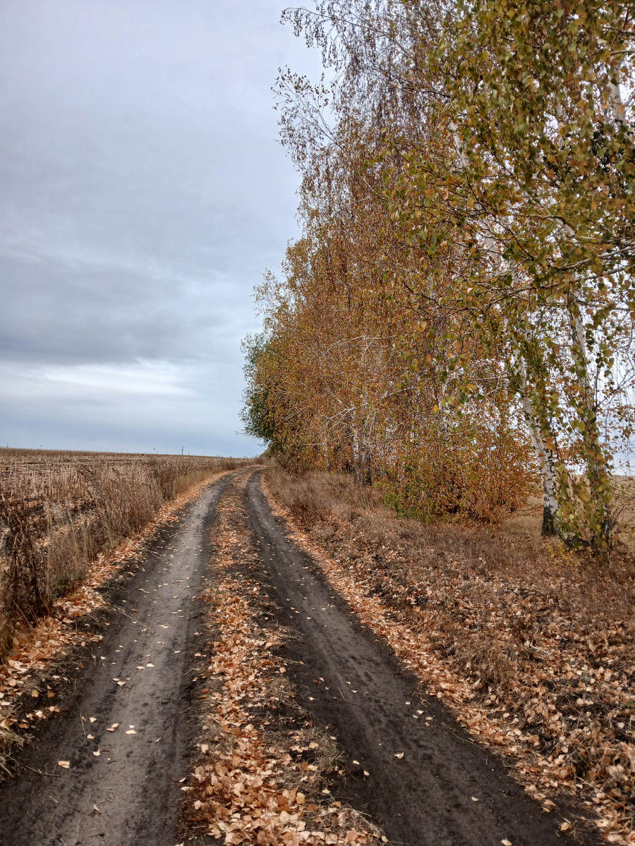 Фото моё из личного архива