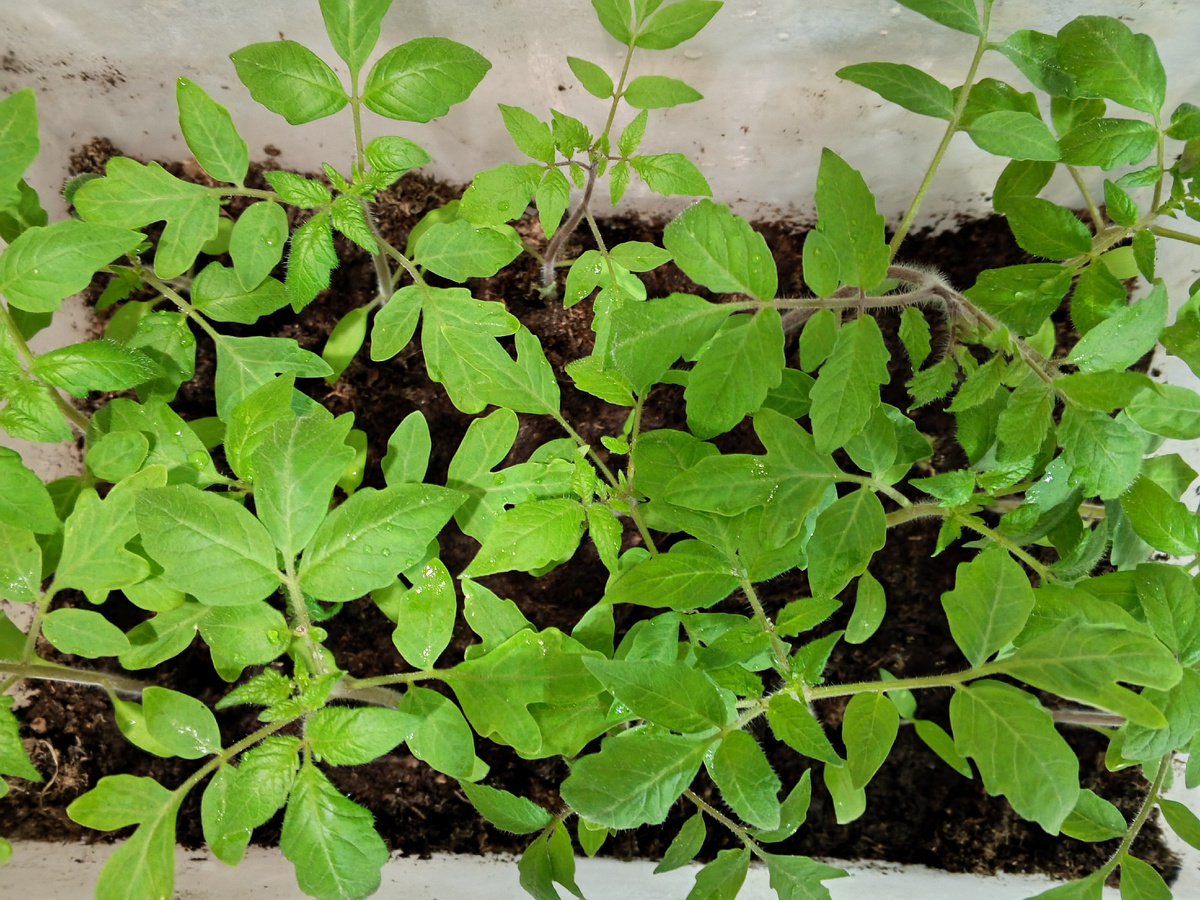 Фото автора канала.