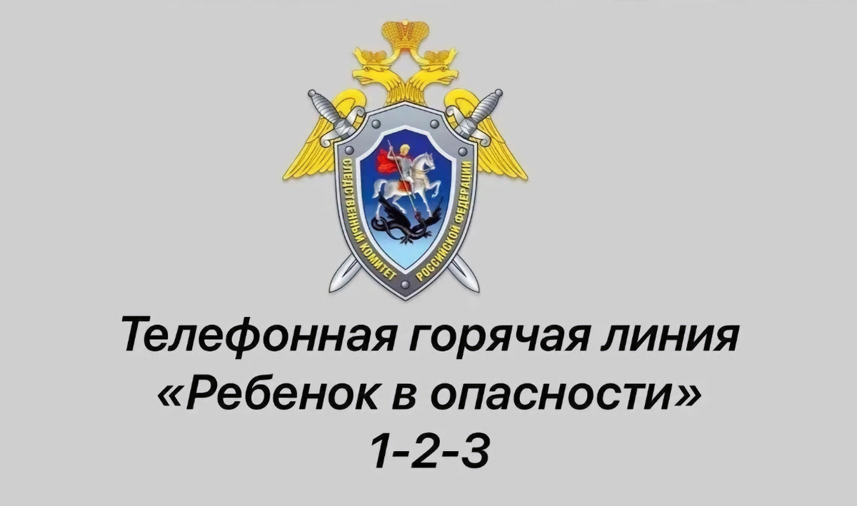     Звоните по номеру 123. Автор: редакция. Фото: СКР.