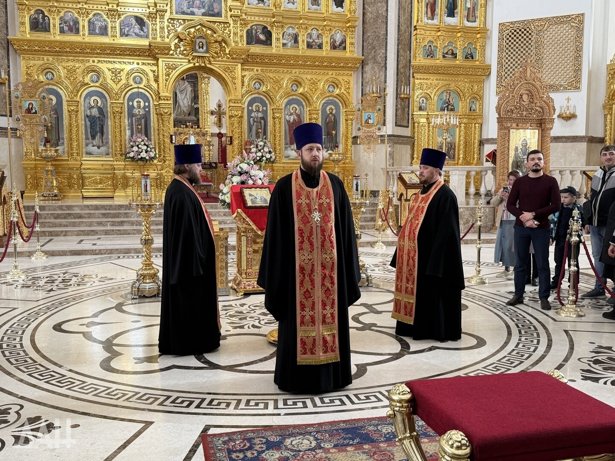    Фото: Донецкое агентство новостей