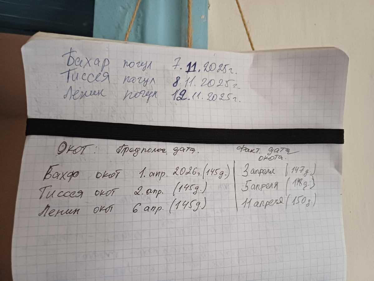 Тетрадь использую как блокнот