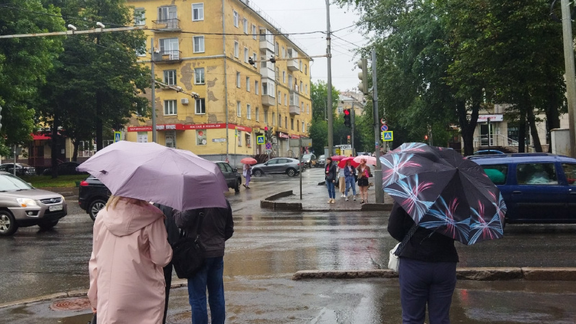    Фото progorod43.ru