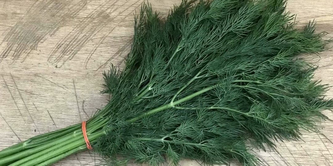 Суставы в норме, а мочевая кислота повышается: 5 видимых причин повышения после 55 лет