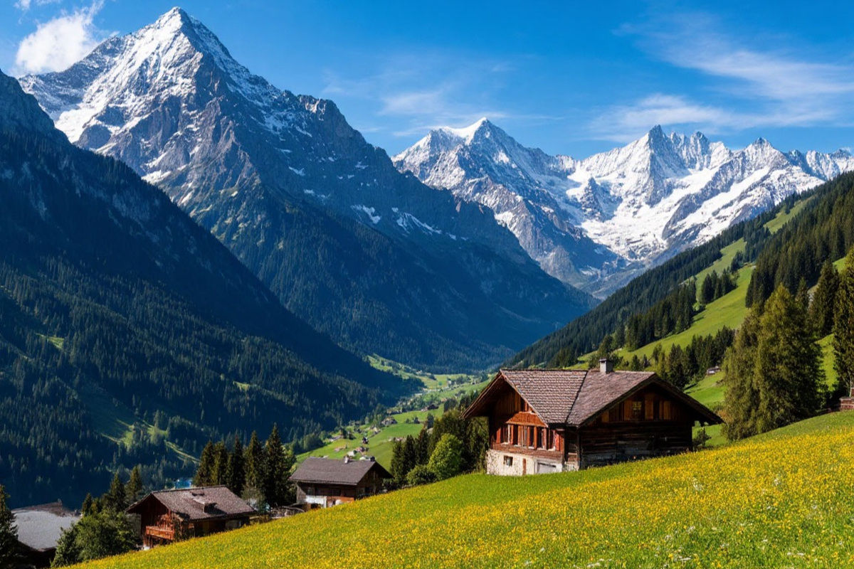    Фото: коллаж RuNews24.ru