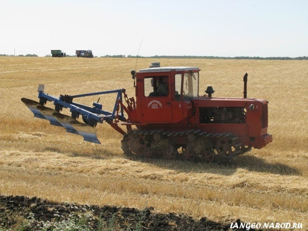 Юность Федора или случай до армии