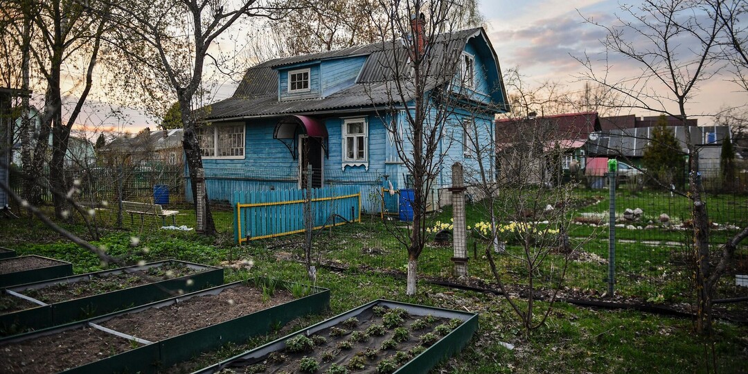 Из ревизоров в капитаны: может ли бывший член комиссии возглавить СНТ