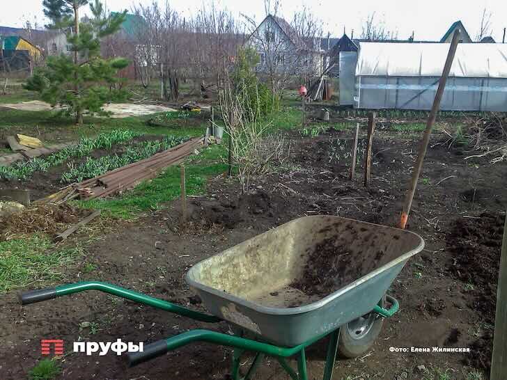    Фото: Пруфы