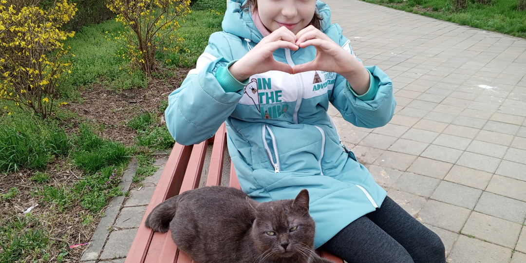 Про диалог и другие радости