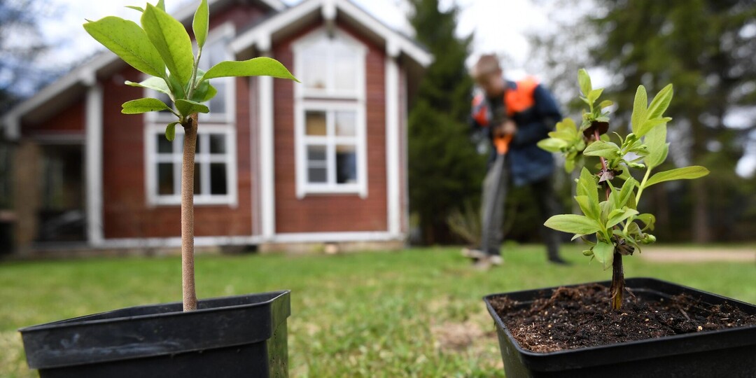 Суд запретил превращать дачу в СНТ в гостиницу: чем аргументировано решение