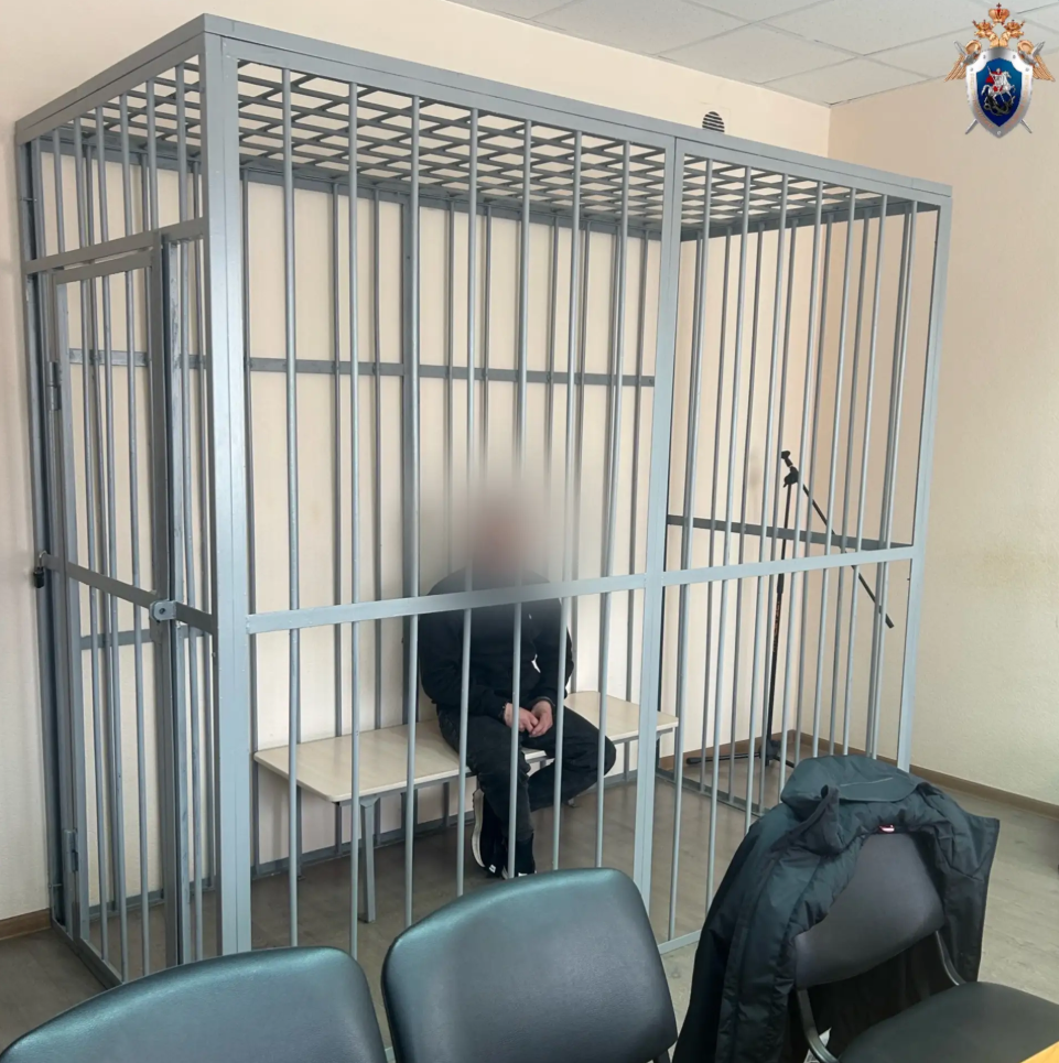    Соцсети / СУ СК России по Смоленской области