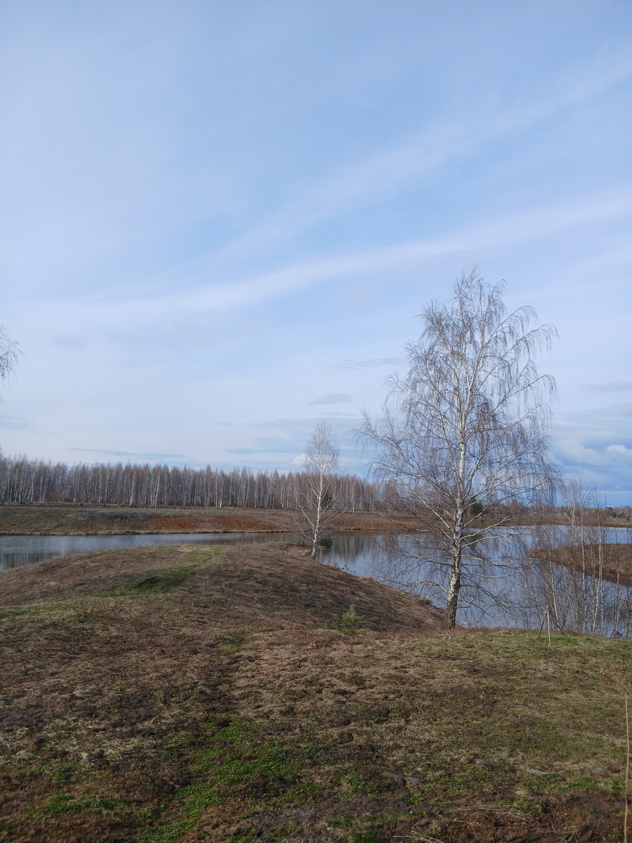 Муж прислал несколько фото