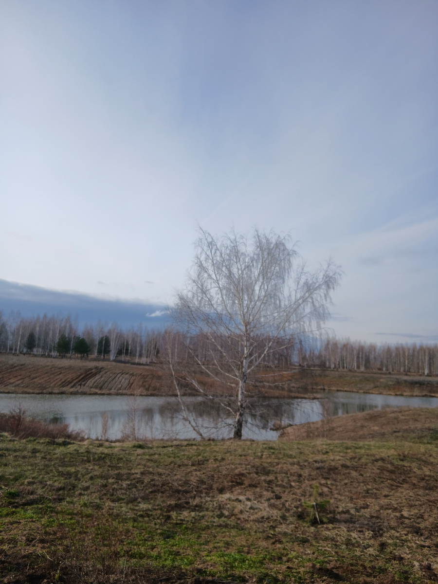 Снег совсем сошел