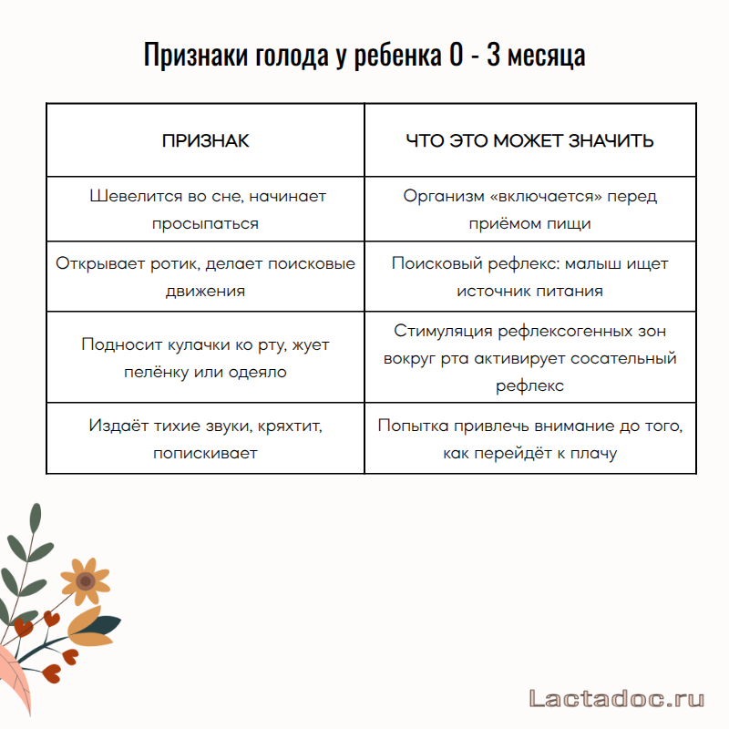 Ранние сигналы голода у младенцев. Источник: lactadoc.ru