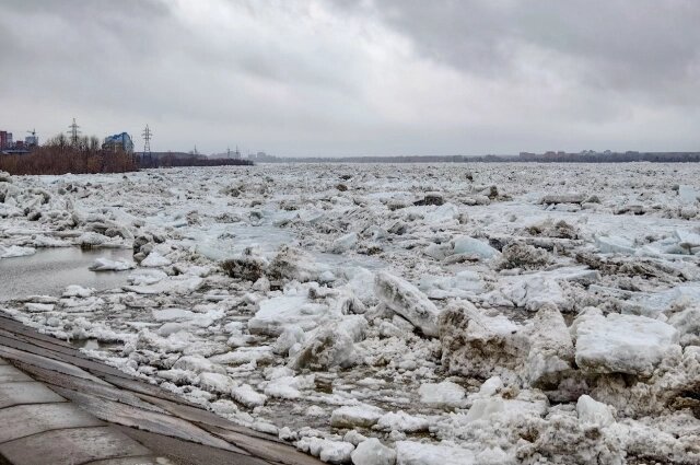    Фото: АиФ-Томск/ Дмитрий Еланаков