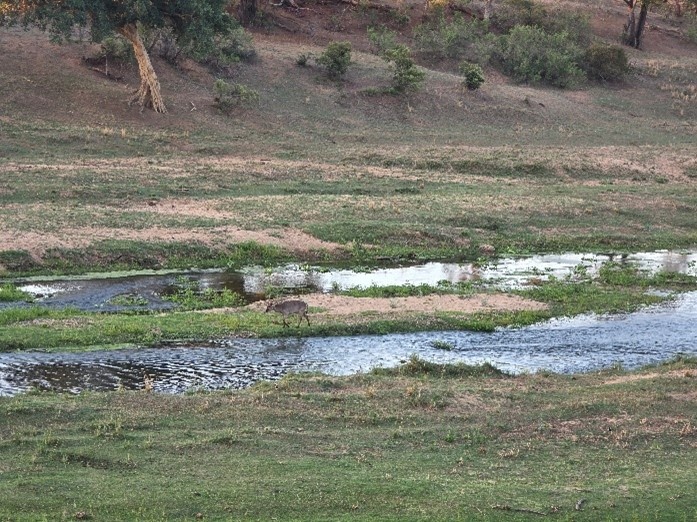 Из личного архива