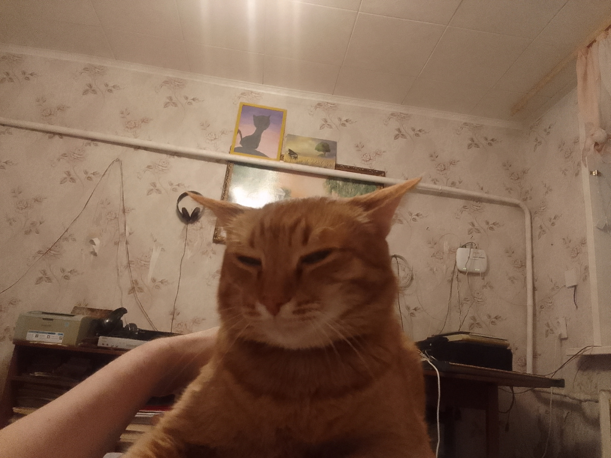 Желтый Аббат 