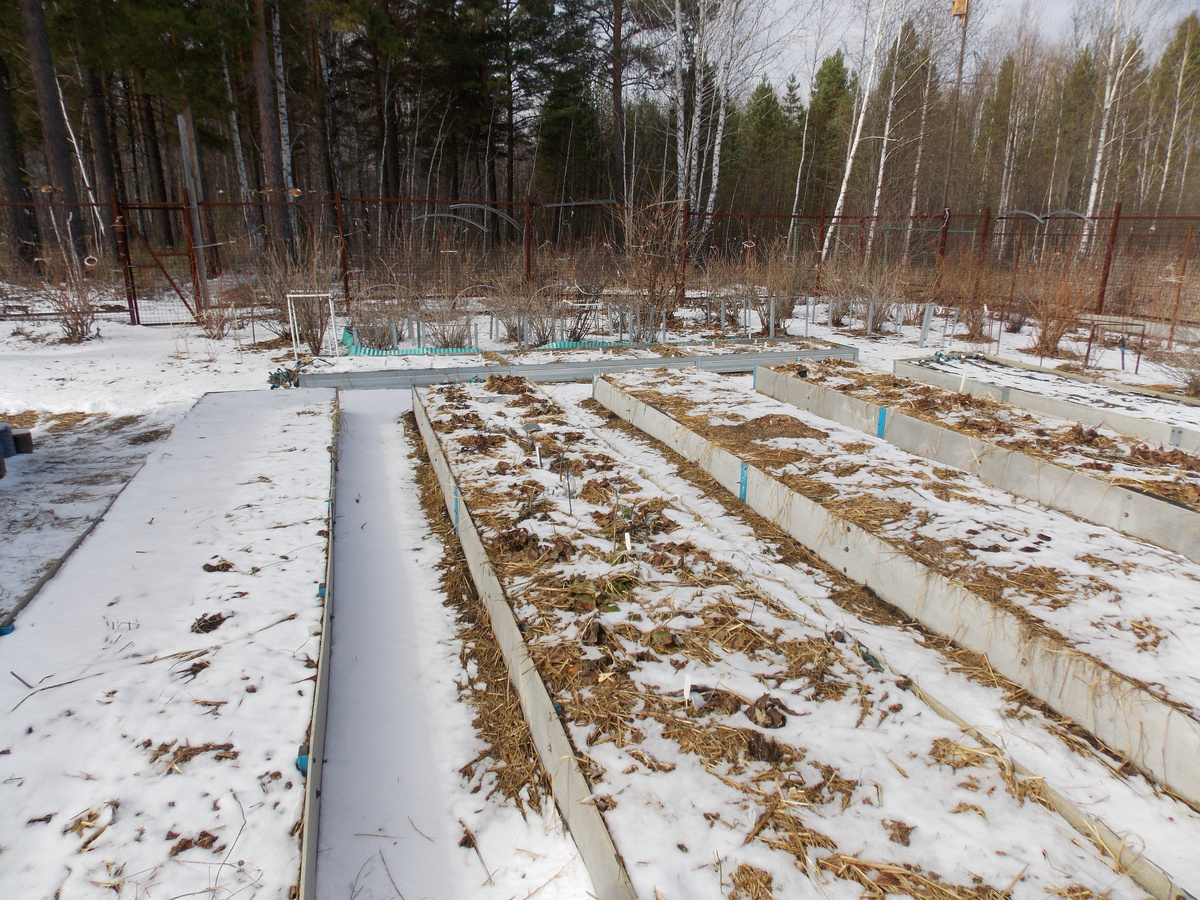 10 апреля - зима не желает уходить