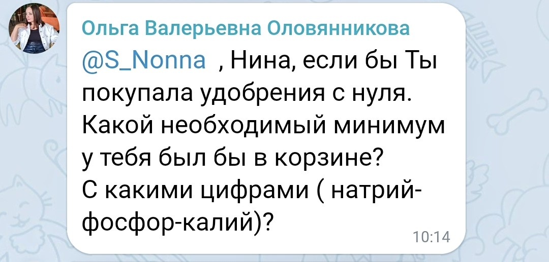 Скриншот из чата