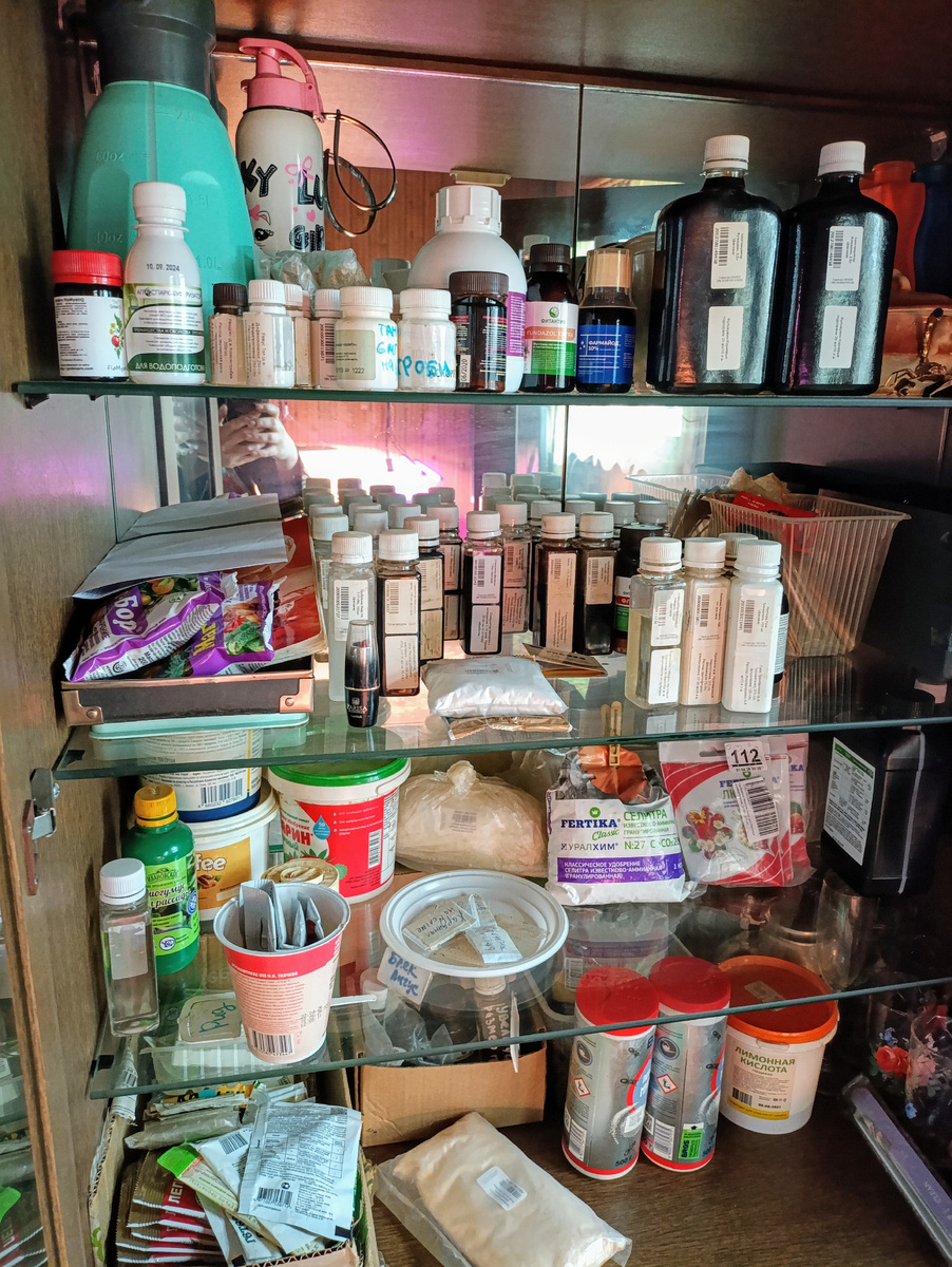 Фото автора 