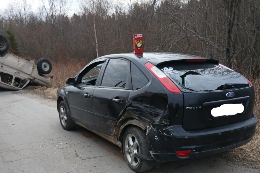    Фото: Отряд противопожарной службы по Пудожскому району / ВК