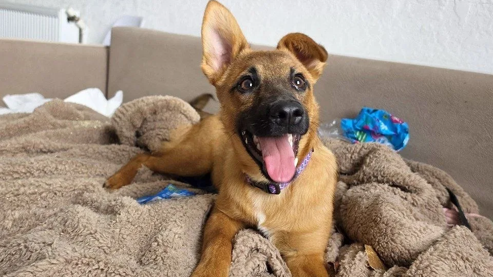 Марик-кошмарик или привычка - вторая натура