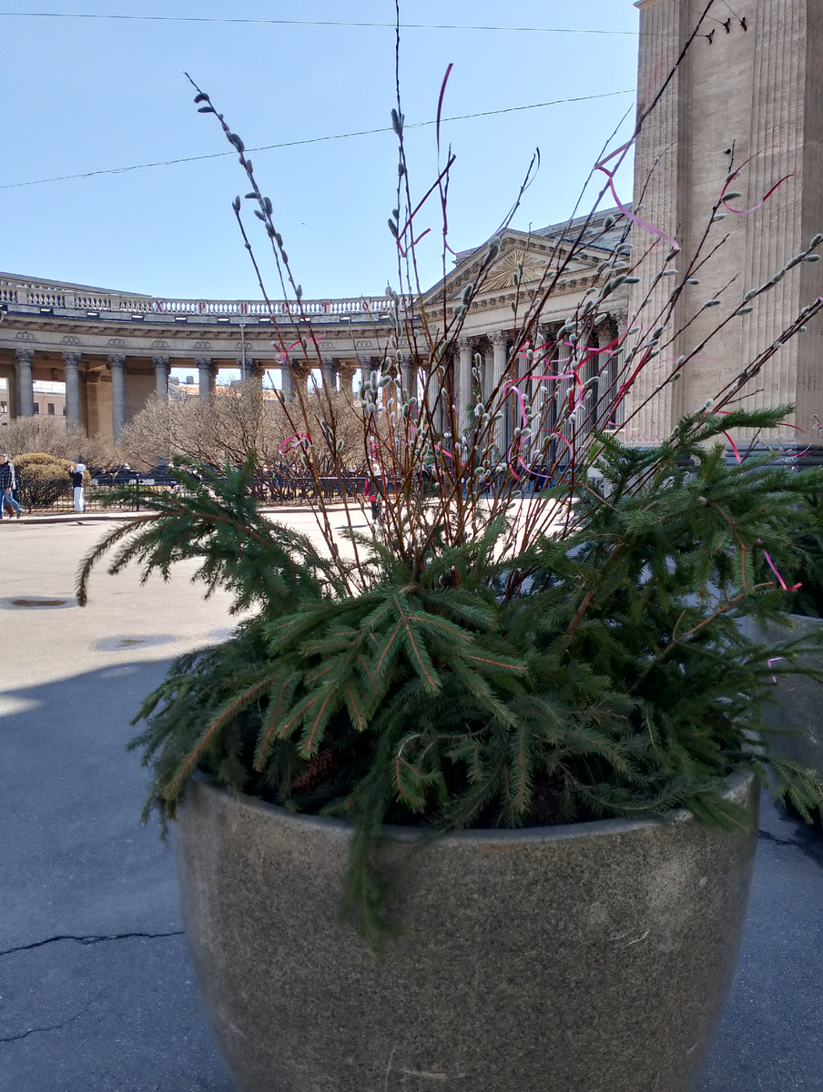 Фото из личного архива автора.